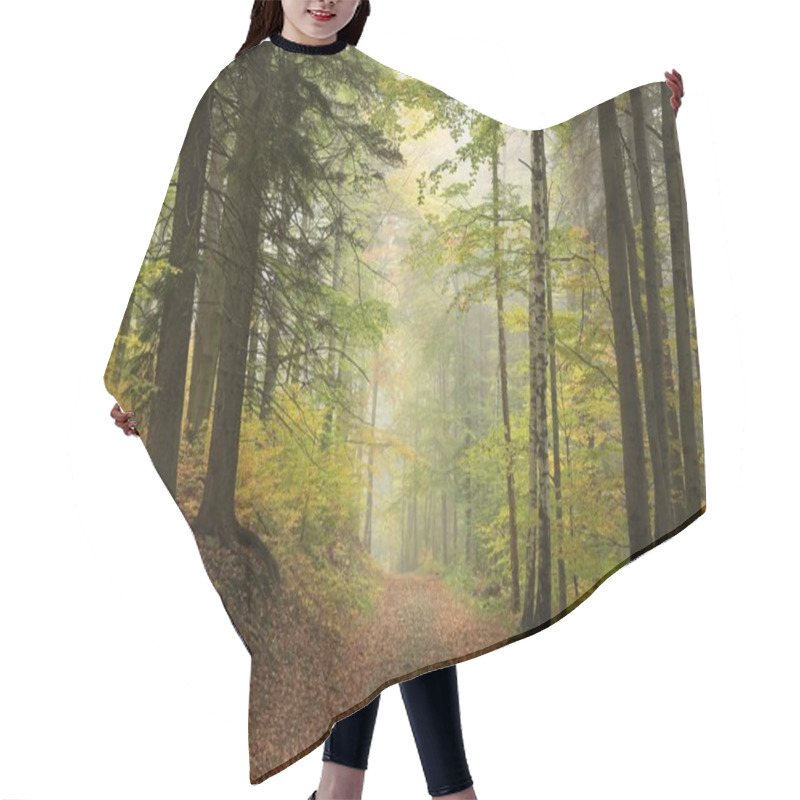 Personality  Path Through The Autumn Forest. Hair Cutting Cape