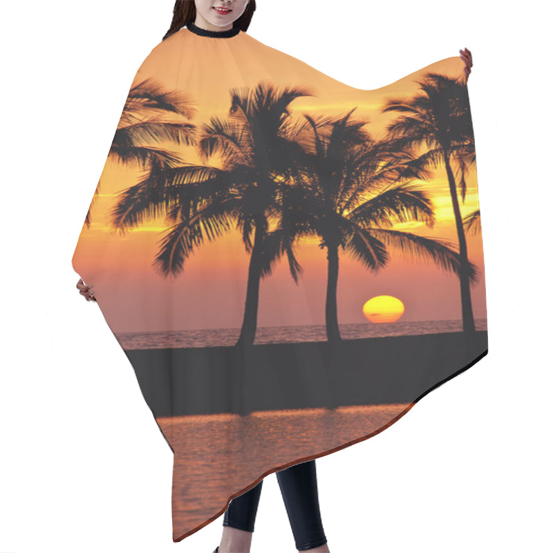 Personality  Hawaiian Palm Tree Sunset Hair Cutting Cape