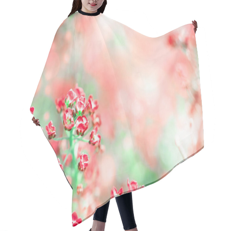 Personality  Blurred Beautiful Magic Floral Pink Background With Copy Space Hair Cutting Cape