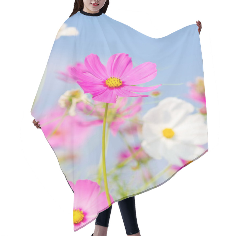 Personality  Pink Cosmos Flowers. Hair Cutting Cape