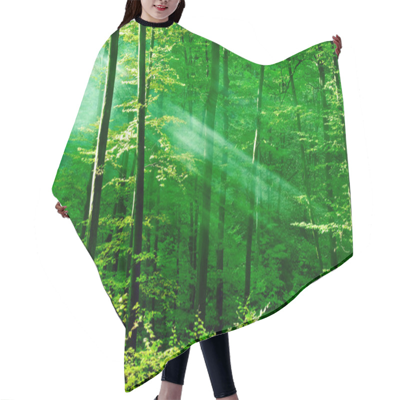 Personality  Lights Of The Morning Forest Hair Cutting Cape