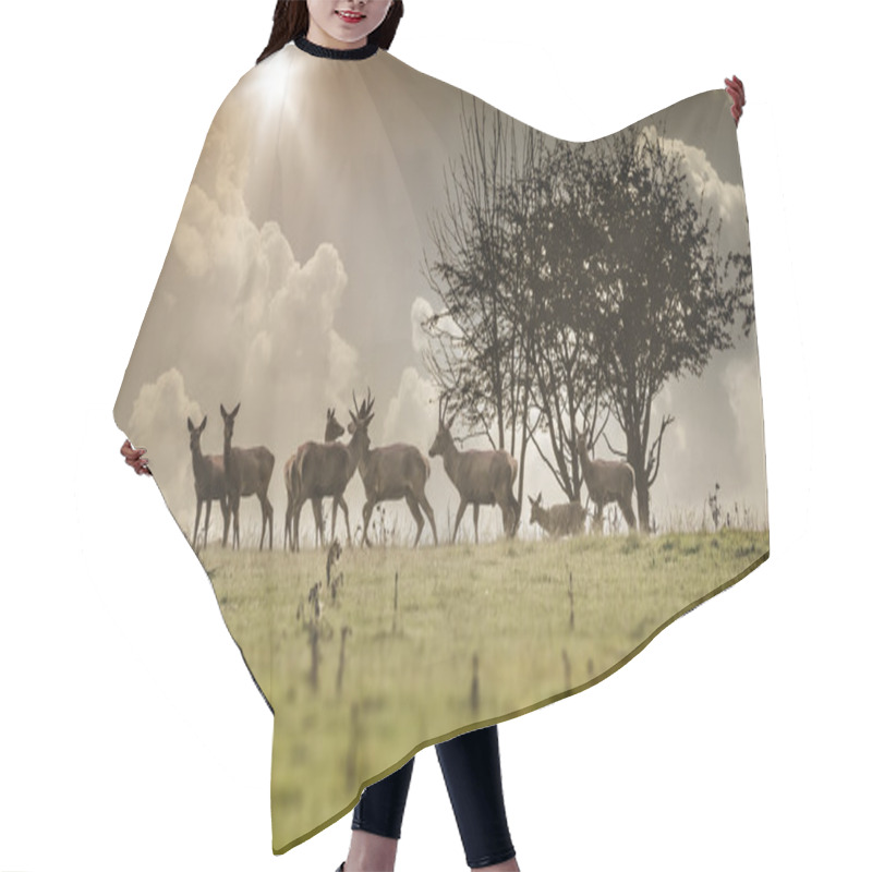 Personality  Some Deer Hair Cutting Cape