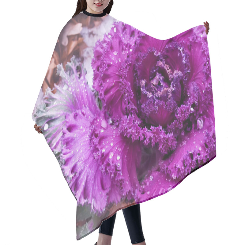 Personality  Decorative Purple Cabbage Hair Cutting Cape