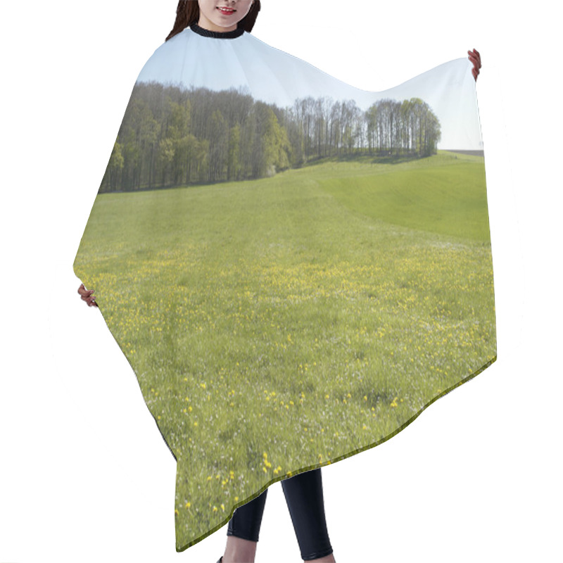 Personality  Flowery Meadow In Hohenlohe Hair Cutting Cape