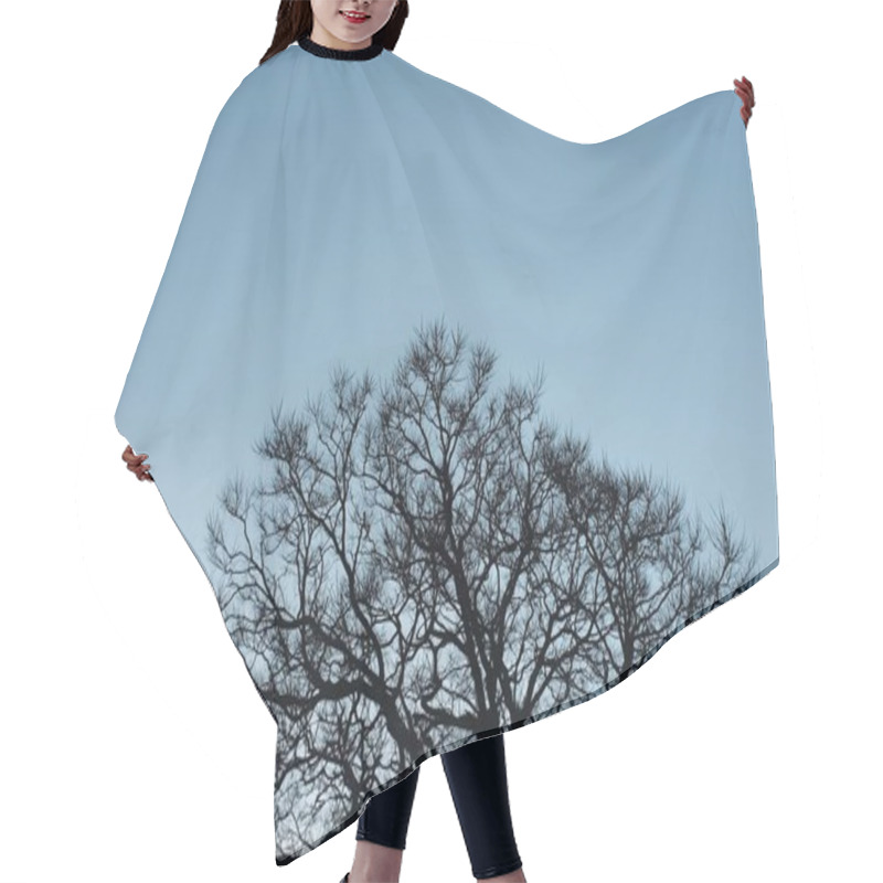 Personality  A Silhouette Of A Tree With Dense Branches And The Clear Sky In The Background Hair Cutting Cape