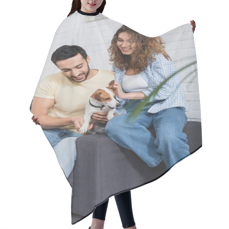 Personality  Happy Interracial Couple Cuddling Jack Russell Terrier Near Plant On Blurred Foreground  Hair Cutting Cape