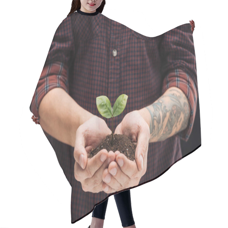 Personality  Cropped View Of Man Holding Ground With Green Plant In Hands Isolated On Black Hair Cutting Cape