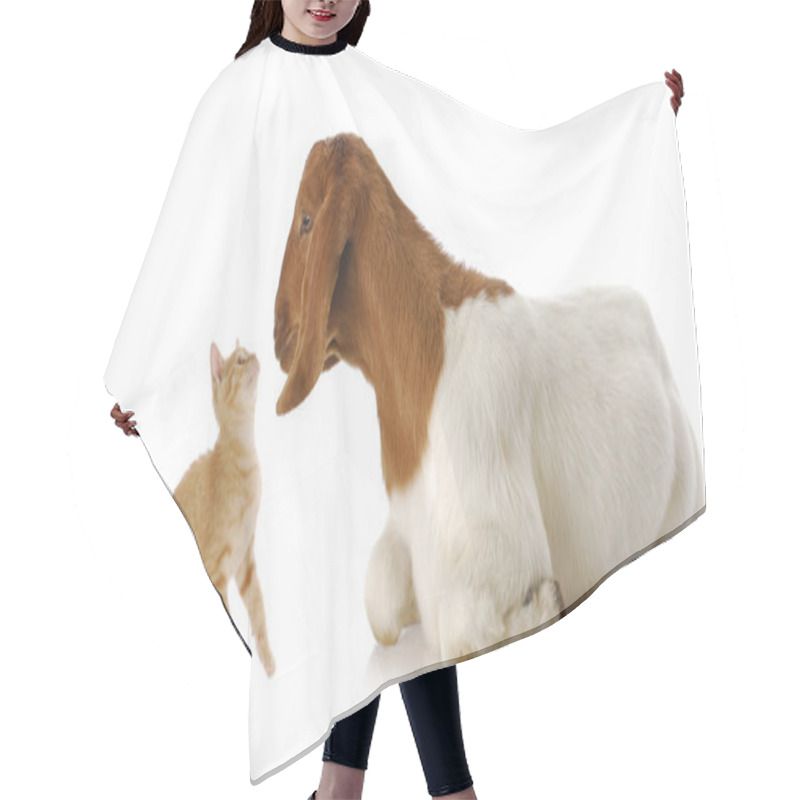 Personality  Farm Animals Hair Cutting Cape