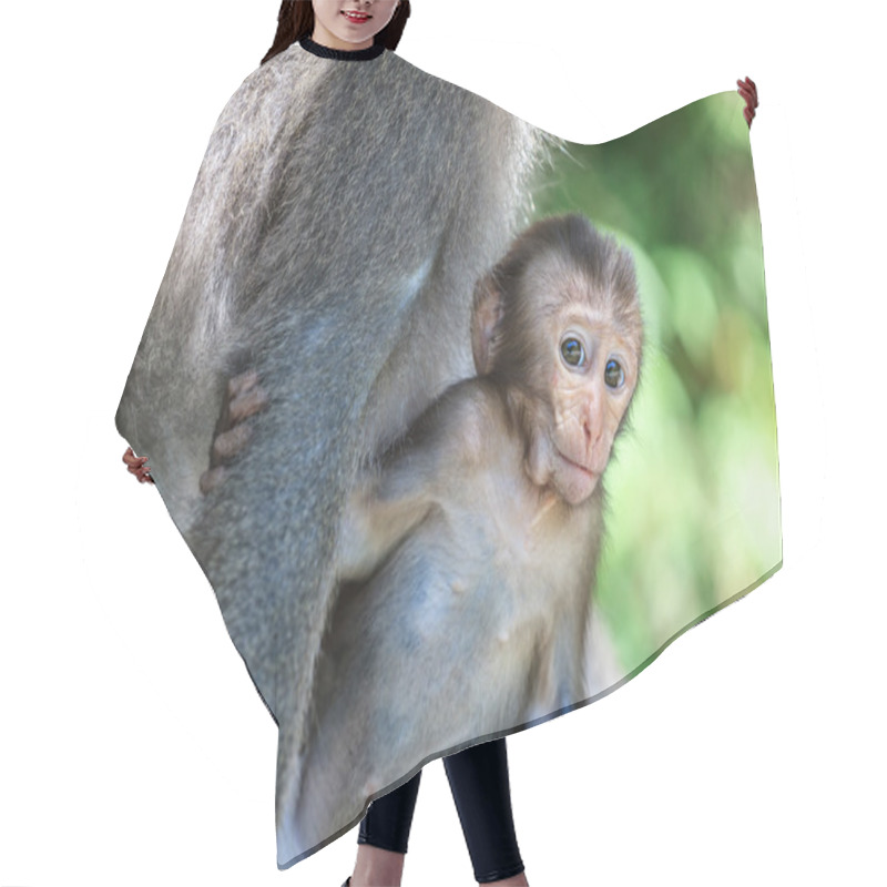 Personality  Monkey Mother And Baby In Natural Hair Cutting Cape