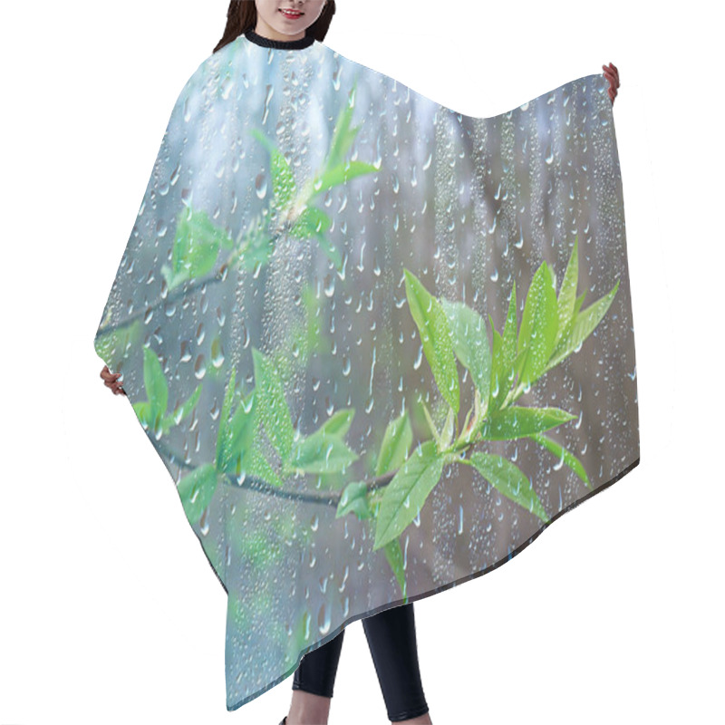 Personality  Spring Rain In The Forest, Fresh Branches Of A Bud And Young Leaves With Raindrops Hair Cutting Cape