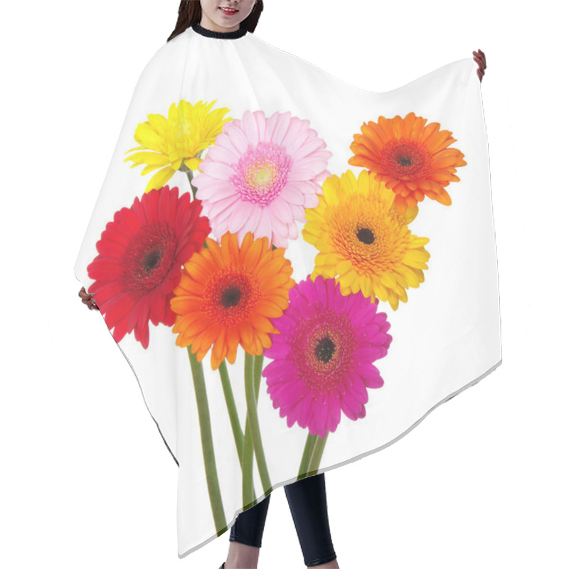 Personality  Gerbera   Hair Cutting Cape