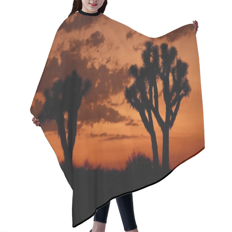 Personality  Mojave Desert Sunset Hair Cutting Cape