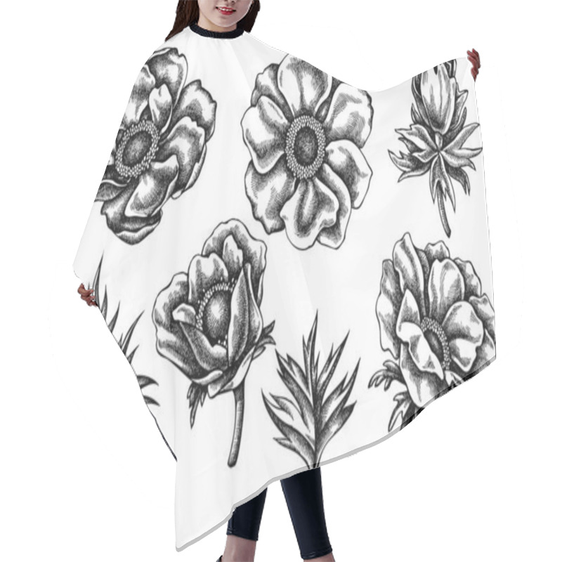 Personality  Vector Set Of Hand Drawn Black And White Anemone Hair Cutting Cape