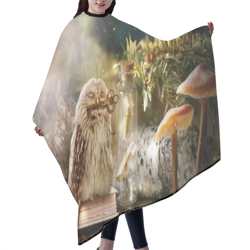 Personality  Fantasy Wise Sleeping Owl Is The Keeper Of Secrets Holds Key To Knowledge In Beak In Magical Mysterious Forest With Magic Mushrooms And Books Locked In Glass Bottle Hair Cutting Cape