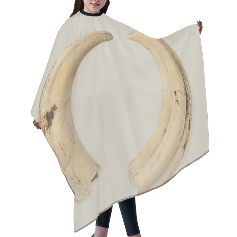 Personality  Tusks Hair Cutting Cape