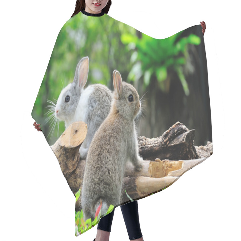 Personality  Rabbit Hair Cutting Cape