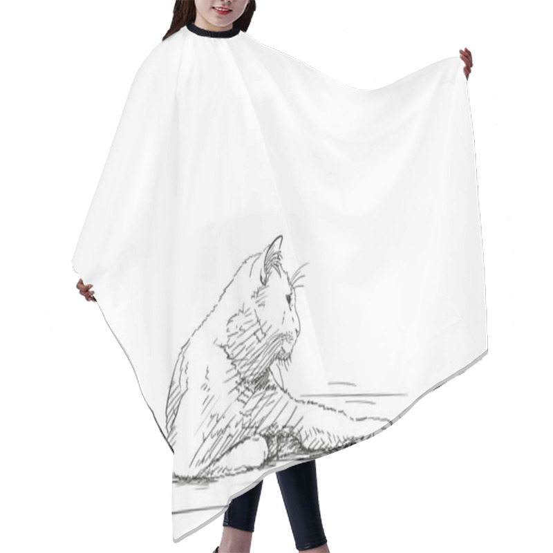 Personality  Cat Lies Resting With One Paw Outstretched Vector Sketch, Drawing Of Lazy Cat Hair Cutting Cape