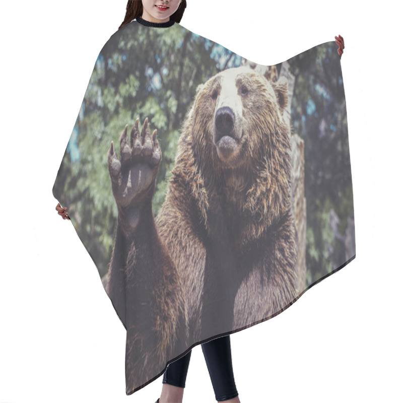 Personality  Bear Waving With Claw Majestic And Powerful Animal Hair Cutting Cape