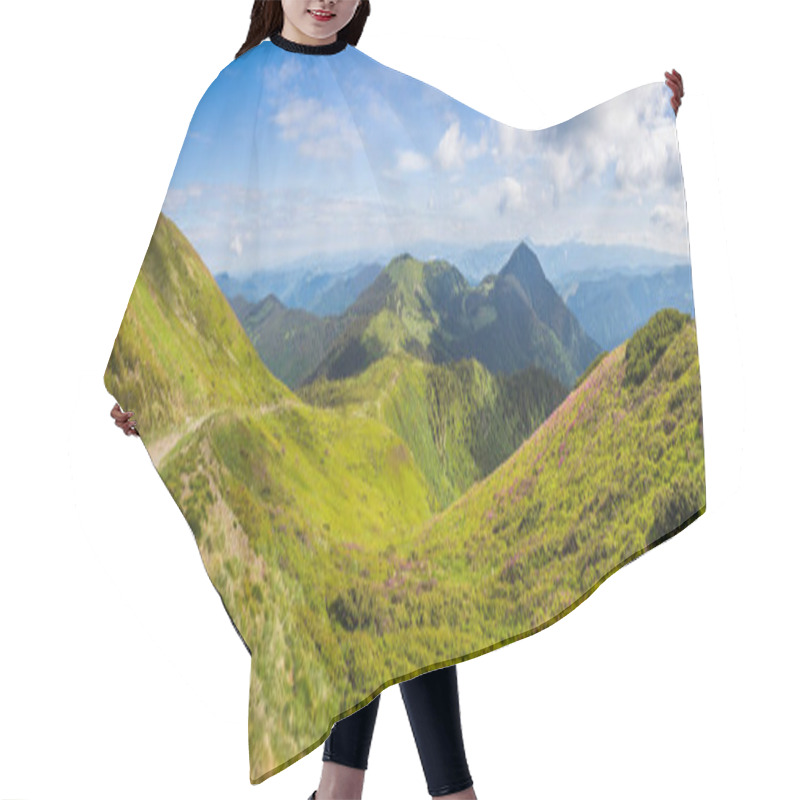 Personality  Beautiful View Of Idyllic Mountain Scenery In The Alps With Traditional Old Mountain Chalet And Fresh Green Meadows With Blooming Flowers On A Sunny Day With Blue Sky In Springtime. Hair Cutting Cape