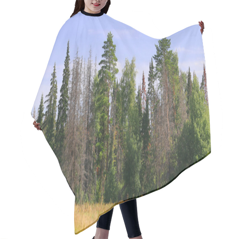 Personality  Edge Of The Forest With Dead Trees Hair Cutting Cape