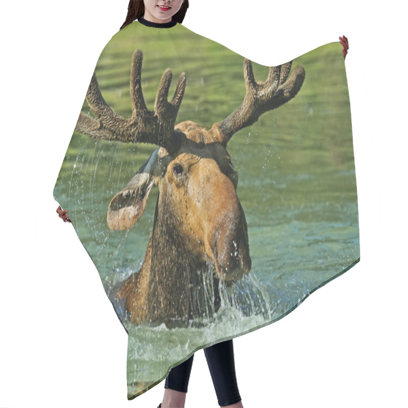 Personality  Elk Forest Hair Cutting Cape