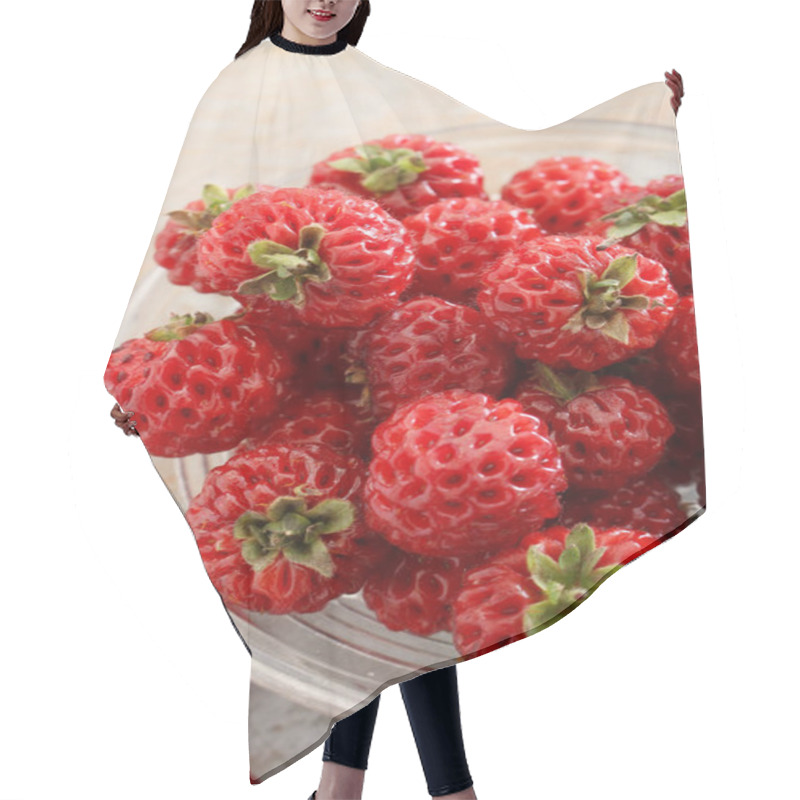 Personality  Hybrid Strasberry Fruit In Dish Hair Cutting Cape