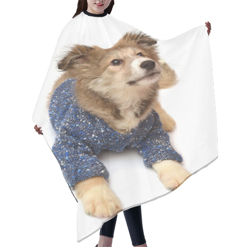 Personality  Young Puppy Dog  Hair Cutting Cape