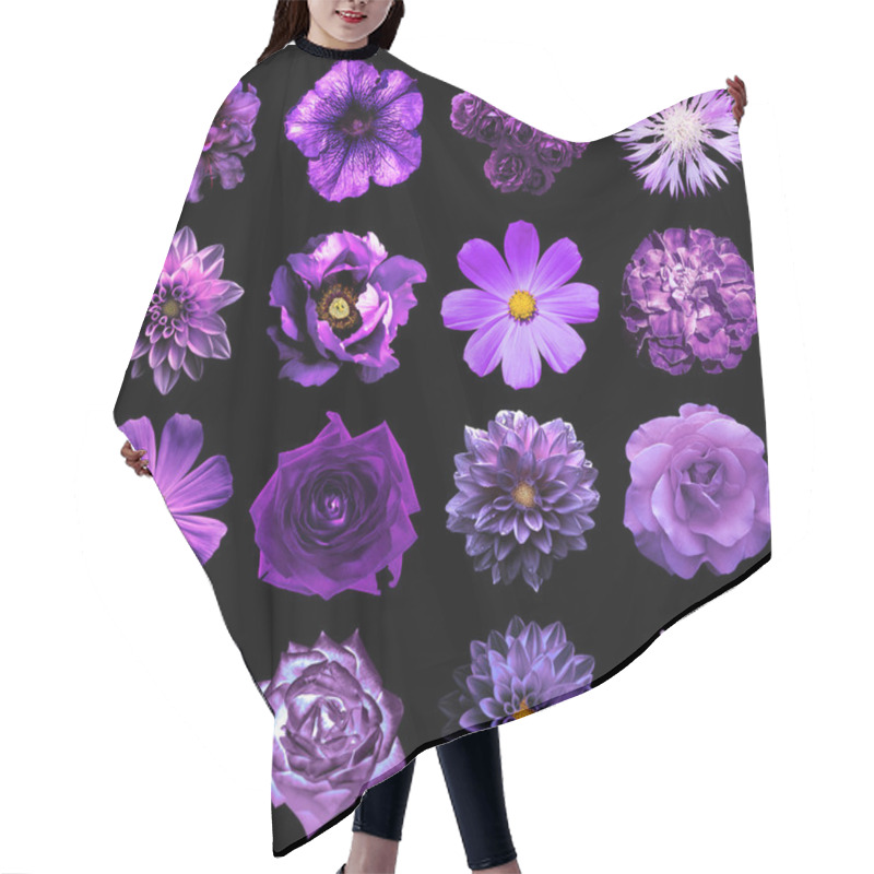 Personality  Mix Collage Of Natural And Surreal Violet Flowers 16 In 1: Peony, Dahlia, Primula, Aster, Daisy, Rose, Gerbera, Clove, Chrysanthemum, Cornflower, Flax, Pelargonium Isolated On Black Hair Cutting Cape