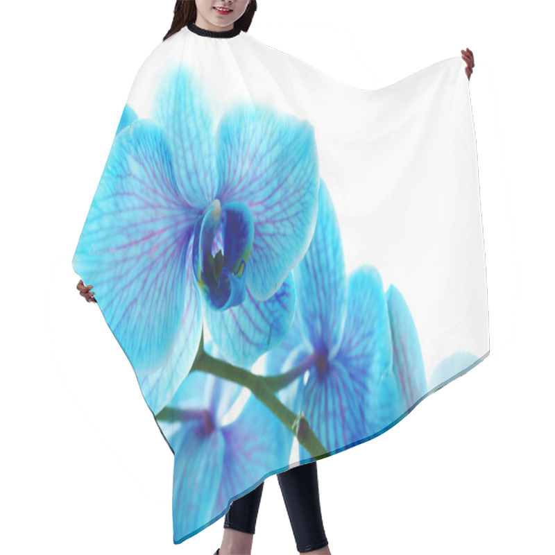 Personality  Beautiful Blue Orchid Flowers Hair Cutting Cape