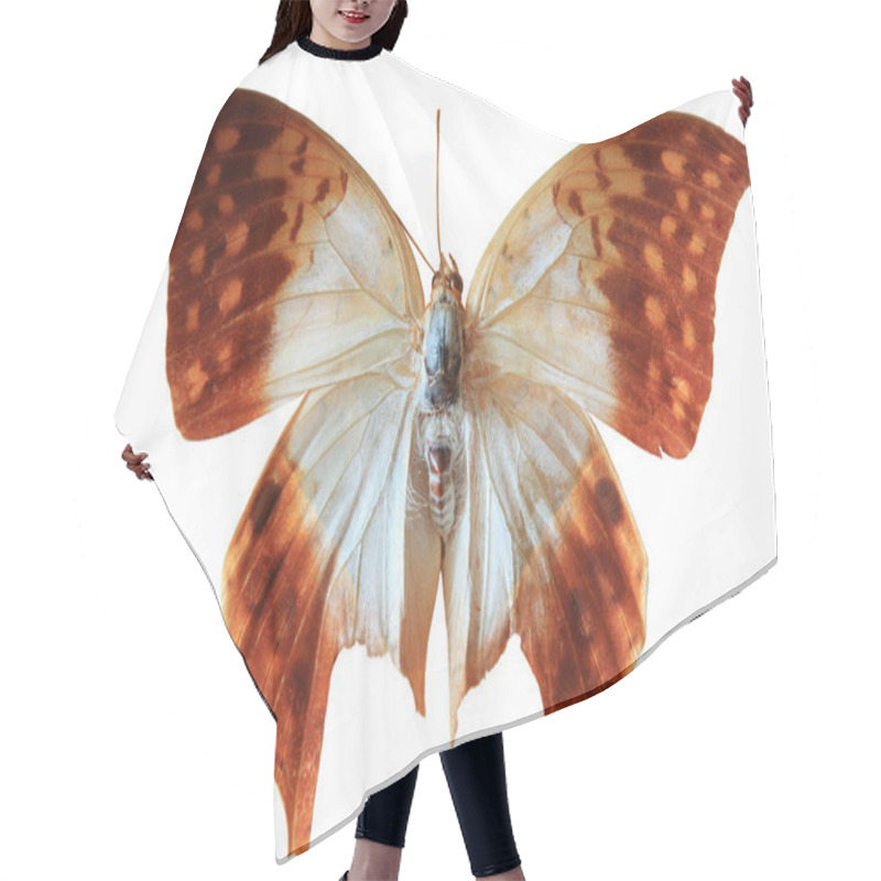 Personality  African Butterfly Hair Cutting Cape