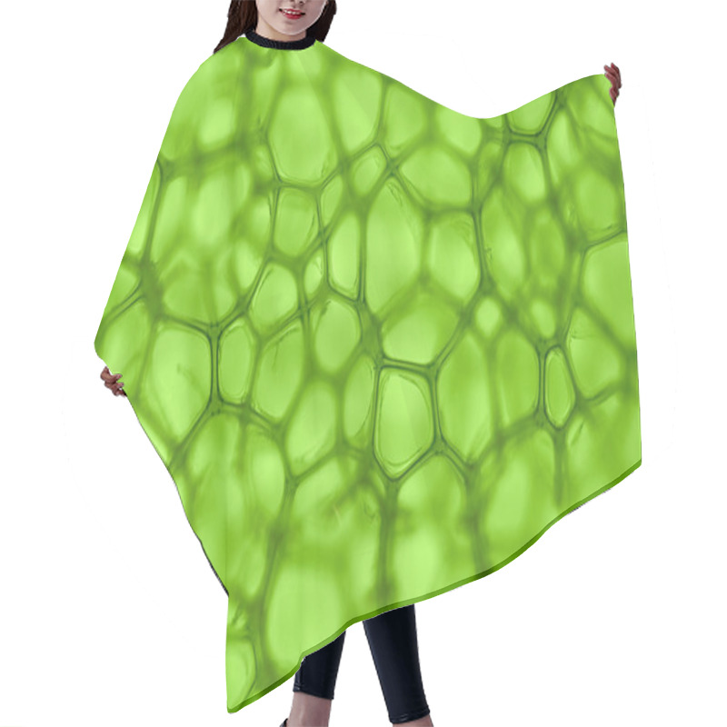 Personality  Cell Green Background Hair Cutting Cape