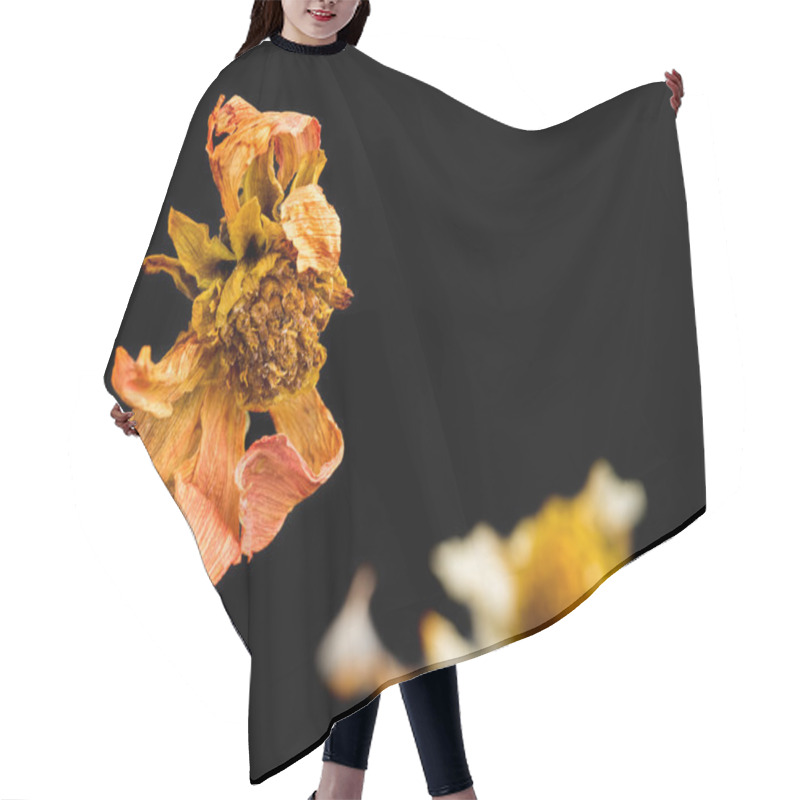 Personality  Life Melancholy With A Flower Hair Cutting Cape