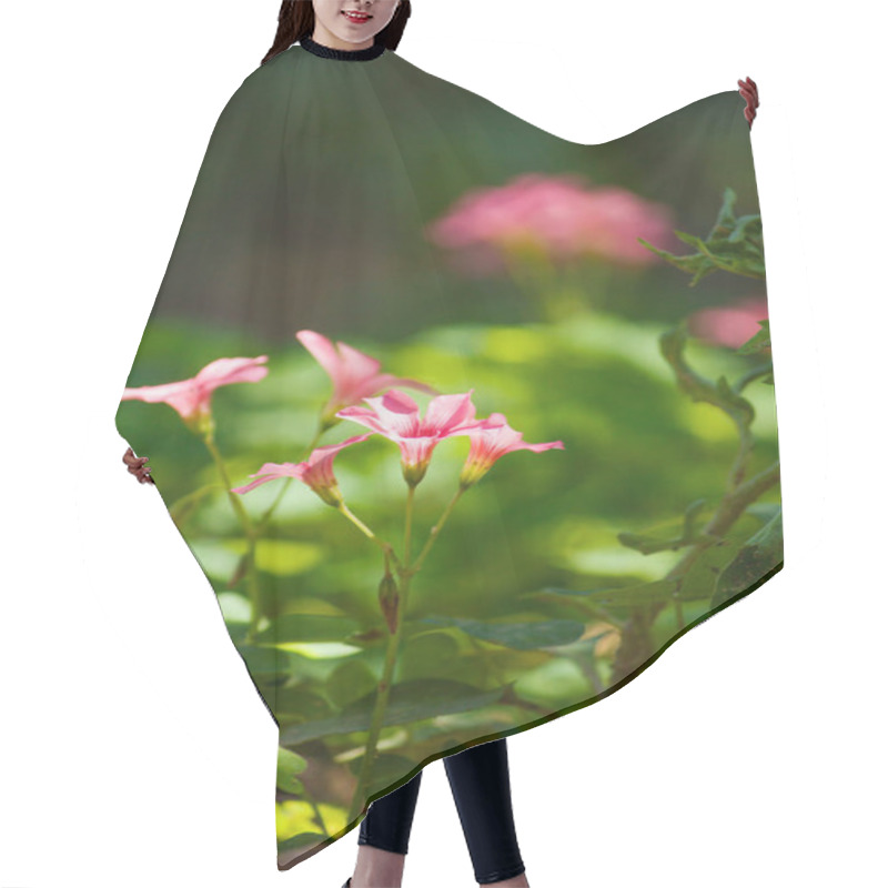 Personality  Delicate Pink Exotic Flowers From The Atlantic Forest Bloom Vibrantly, Showcasing Their Charm Amid Lush Green Surroundings. Hair Cutting Cape