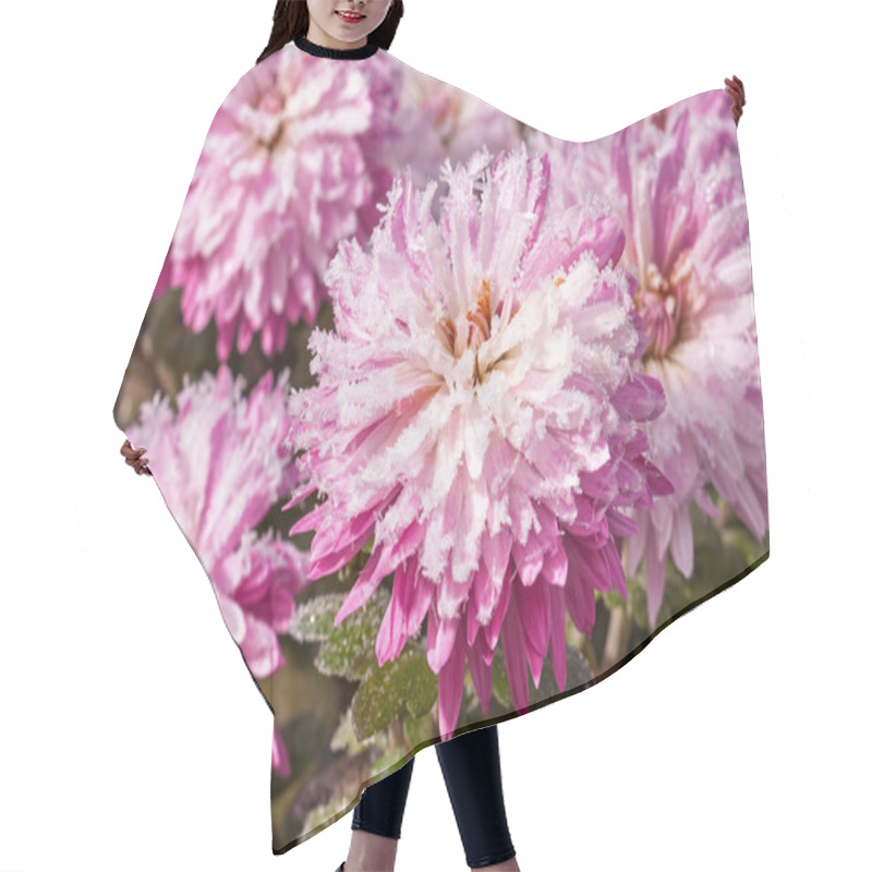 Personality  Pink Flowers With Sparkling Frost, Highlighting The Unique Blend Of Fragility And Winter. Hair Cutting Cape