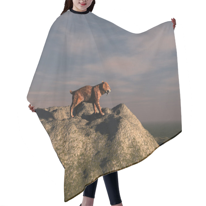 Personality  3d Illustration Of A Saber-toothed Tiger Hair Cutting Cape