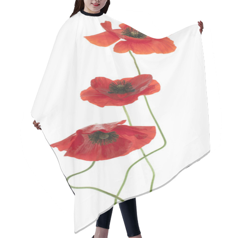 Personality  Poppy Hair Cutting Cape