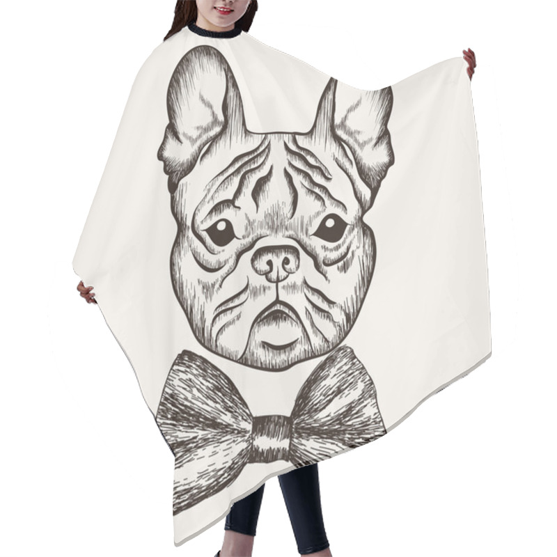 Personality  Sketch French Bulldog With Bow Tie. Hand Drawn Dog Illustration. Hair Cutting Cape