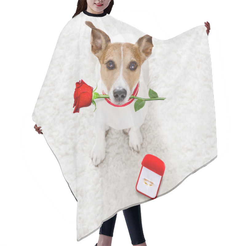 Personality  Wedding Proposal Dog With Marraige Ring  Hair Cutting Cape