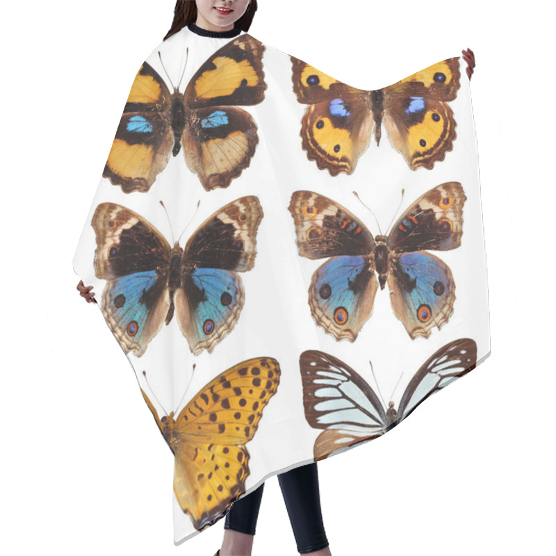 Personality  Butterfly Collection Hair Cutting Cape