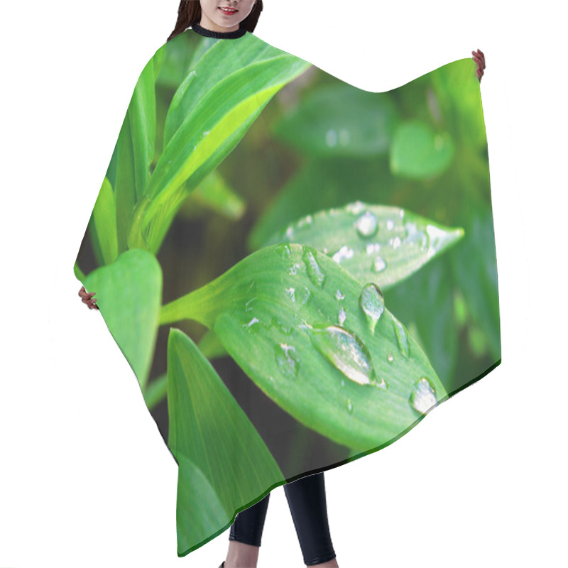 Personality  Drops On Leafs Hair Cutting Cape