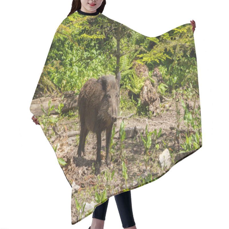 Personality  Wild Boar In The Forest Hair Cutting Cape