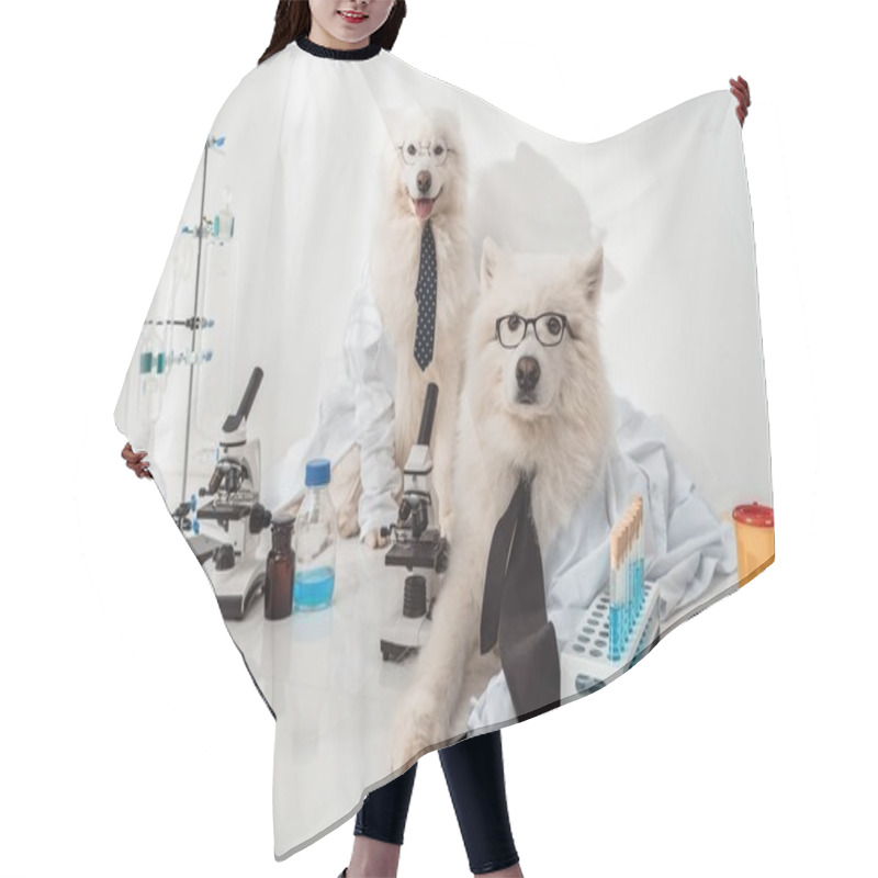 Personality  Dogs Scientists Hair Cutting Cape