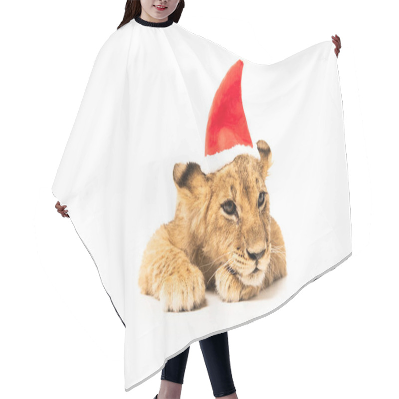 Personality  Cute Lion Cub In Santa Hat Isolated On White Hair Cutting Cape