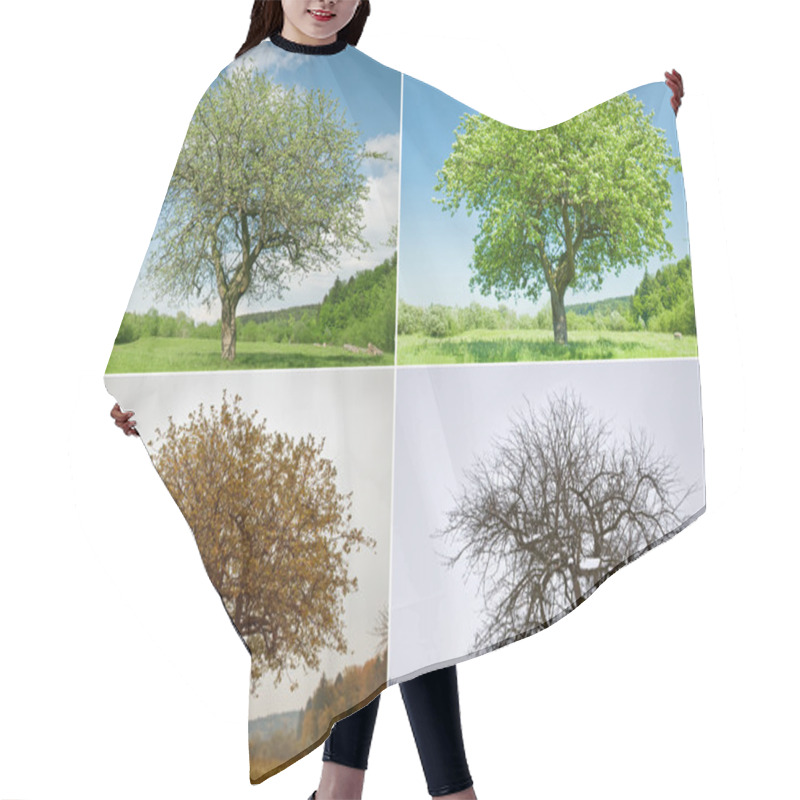 Personality  Tree Hair Cutting Cape