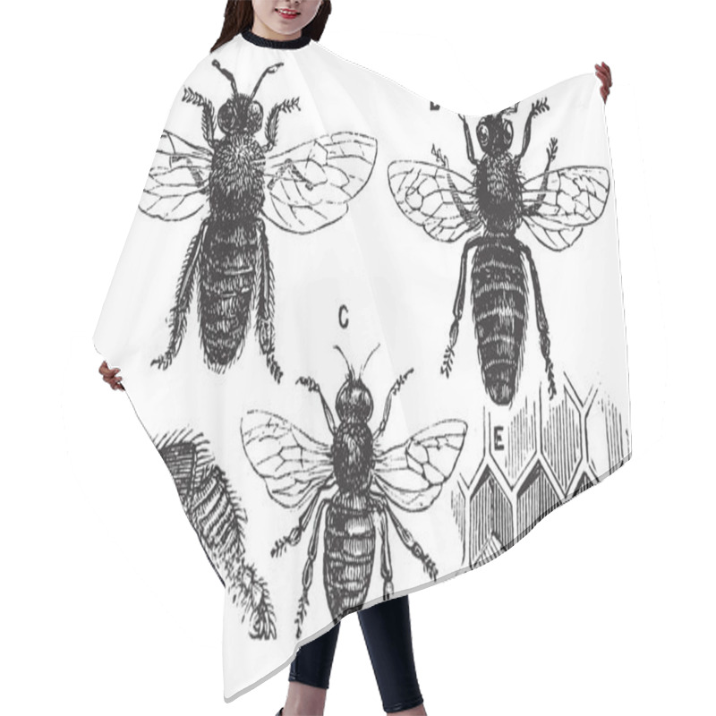 Personality  Male, Female And Neutral Bee With Leg Close-up And Honeycomb Hair Cutting Cape