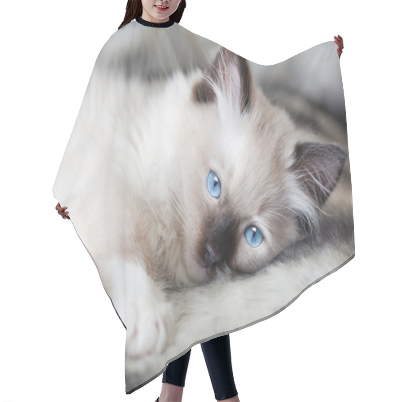 Personality  Furry Portrait Hair Cutting Cape