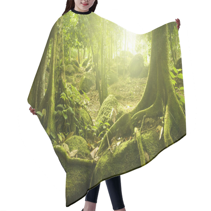 Personality  Green Forest Hair Cutting Cape