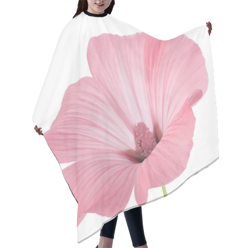 Personality  Mallow Hair Cutting Cape