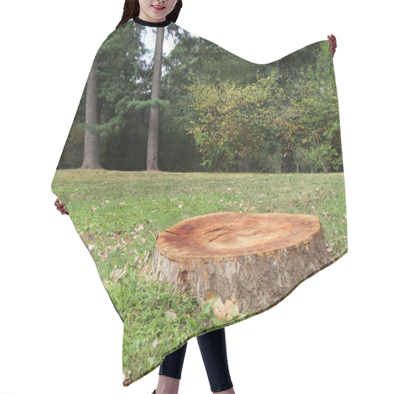 Personality  Tree Stump In The Forest Hair Cutting Cape