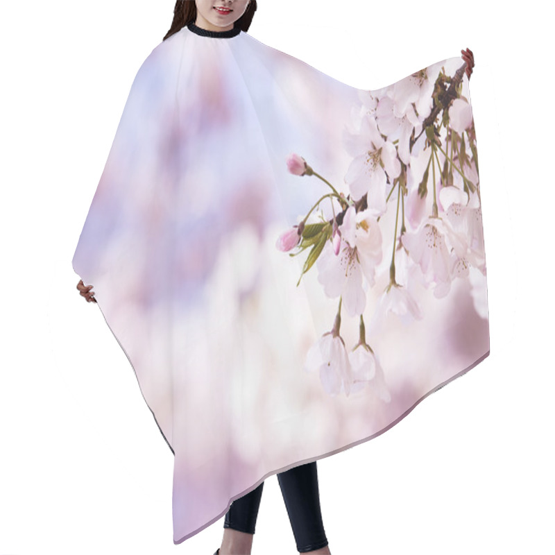 Personality  Closeup Of Cherry Tree Blossoms In The Spring Hair Cutting Cape